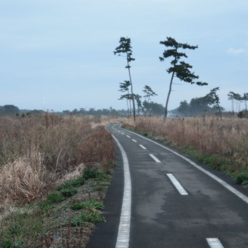 第四回「みちのく潮風トレイル 数珠つなぎハイキング」〜仙台市・名取市セクション〜